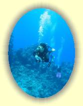 IMG_2007_05_27 15_03_57 * 1611 x 2149 * (375KB)